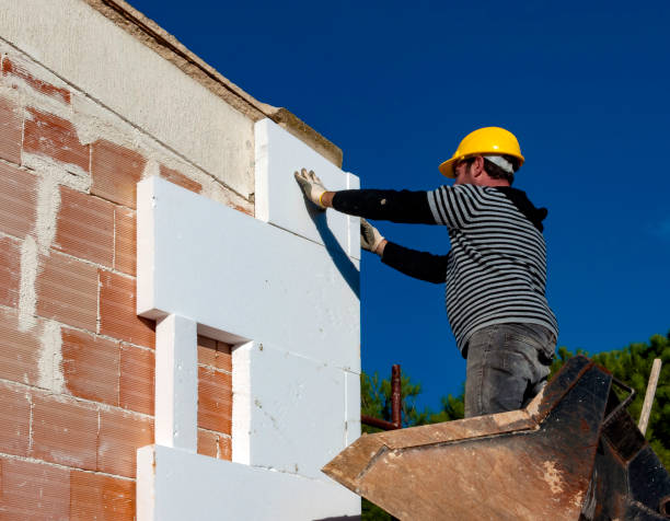 Best Professional Insulation Contractor  in Avenue B And C, AZ