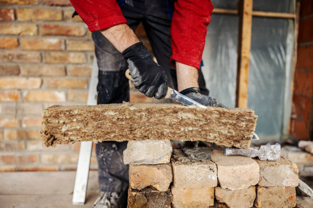 Best Attic Insulation Installation  in Avenue B And C, AZ